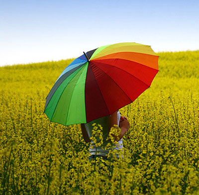 rainbow color umbrella