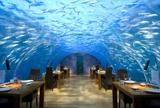 Maldives under water restaurant