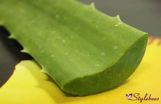 aloe vera storage, aloe vera extraction