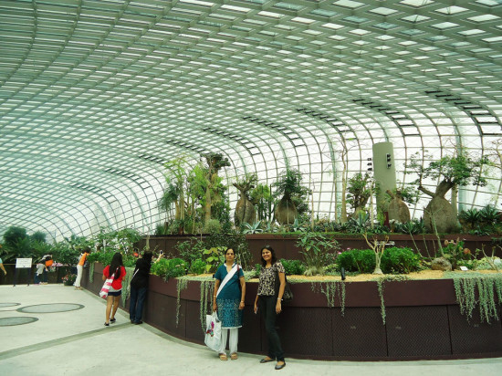 Pic-8 Flower dome