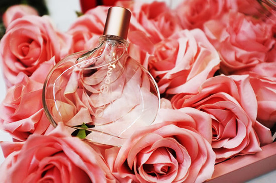 13 rose perfume for valentine day