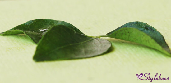 curry leaves for grey hair cure