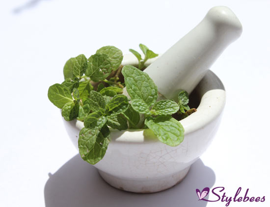 Mint-leaves-for-skin-glow