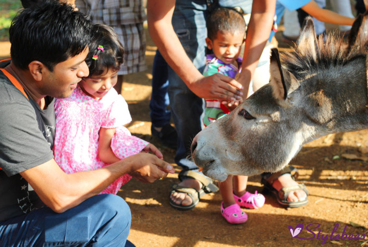 Kids feeding animals at Martin farm Bangalore