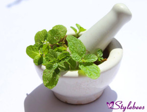 Mint leaves for blackhead removal and glowing skin
